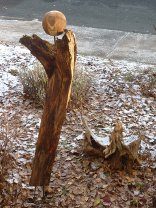 Wurzelast mit gedrechselter Holzkugel